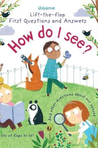 Cover of First Questions and Answers: How do I see?