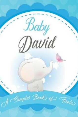 Cover of Baby David A Simple Book of Firsts