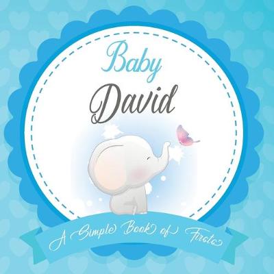 Book cover for Baby David A Simple Book of Firsts