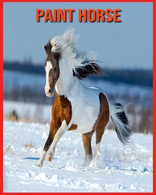 Book cover for Paint Horse