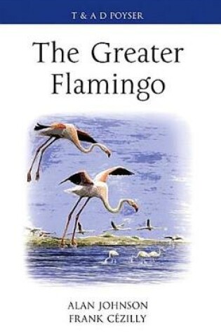 Cover of The Greater Flamingo