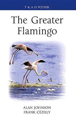Book cover for The Greater Flamingo