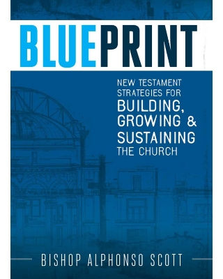 Book cover for Blueprint