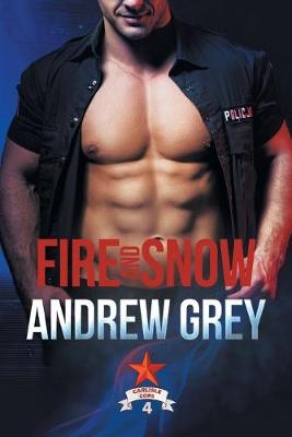 Book cover for Fire and Snow Volume 4