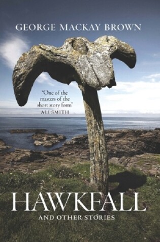 Cover of Hawkfall
