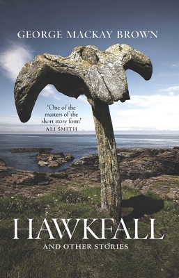 Book cover for Hawkfall