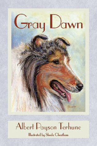 Cover of Gray Dawn