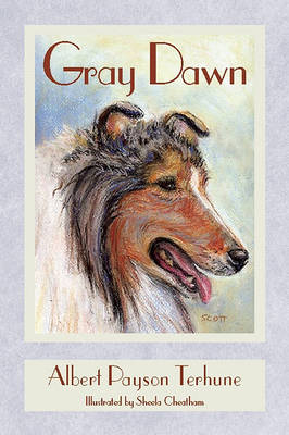 Book cover for Gray Dawn