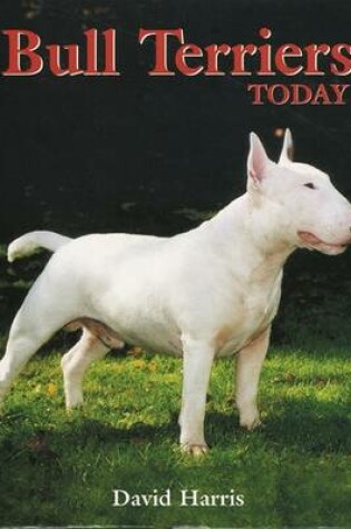 Cover of Bull Terriers Today