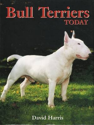 Cover of Bull Terriers Today