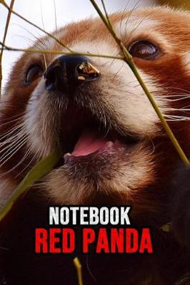 Book cover for Red Panda Notebook