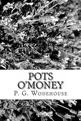 Book cover for Pots O'Money