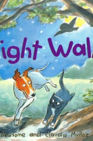 Cover of Night Walk