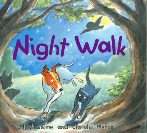 Book cover for Night Walk