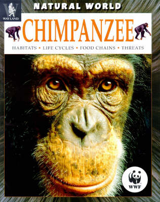 Book cover for Chimpanzee