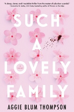 Cover of Such a Lovely Family