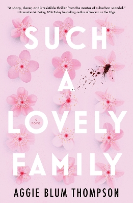 Book cover for Such a Lovely Family