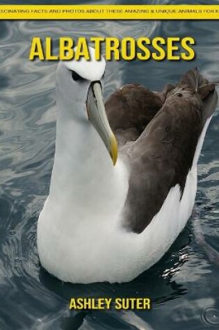 Cover of Albatrosses