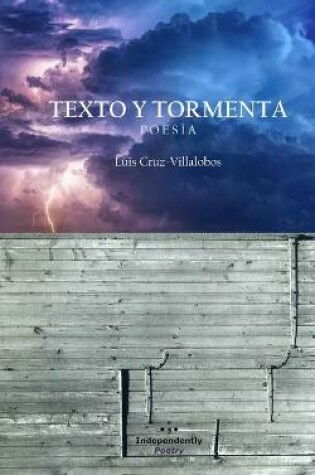 Cover of Texto y Tormenta