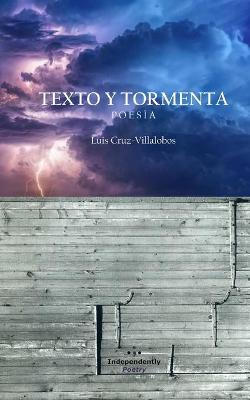 Book cover for Texto y Tormenta