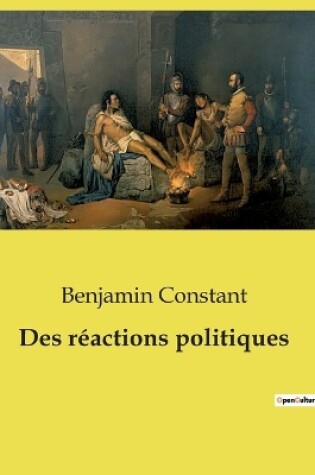 Cover of Des r�actions politiques