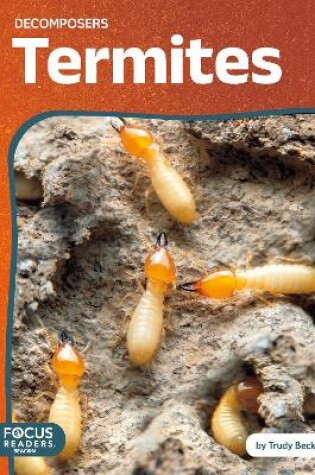 Cover of Termites