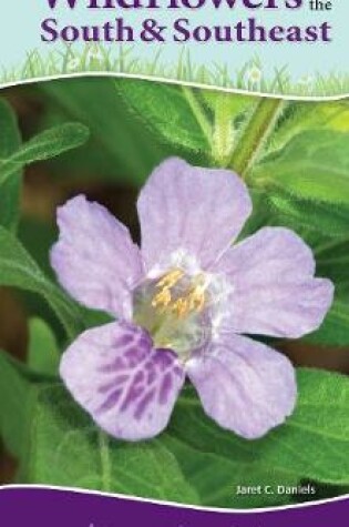 Cover of Wildflowers of the South & Southeast