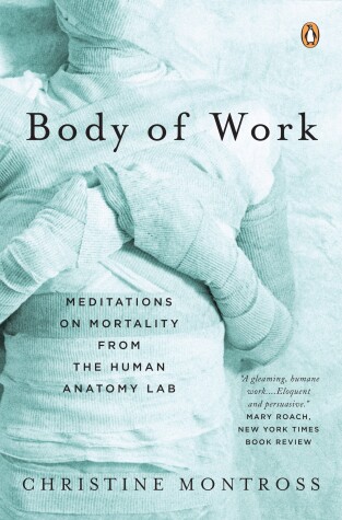 Book cover for Body of Work