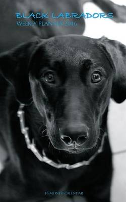 Book cover for Black Labradors Weekly Planner 2016