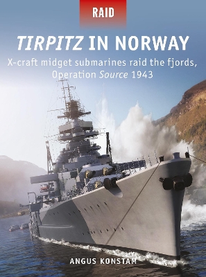 Book cover for Tirpitz in Norway