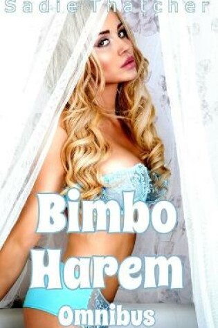 Cover of Bimbo Harem
