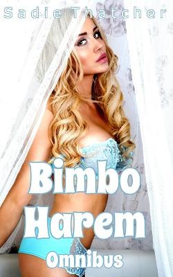 Book cover for Bimbo Harem