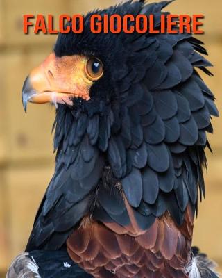 Book cover for Falco giocoliere