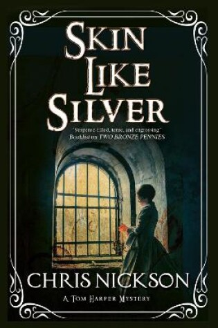 Cover of Skin Like Silver