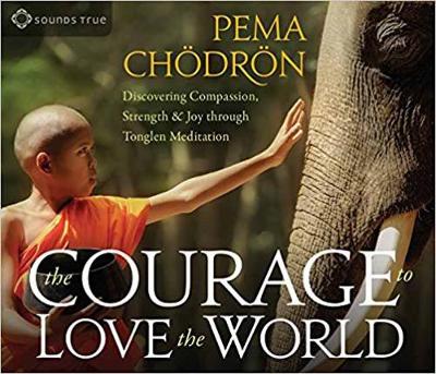 Book cover for The Courage to Love the World