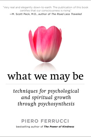 Cover of What We May be