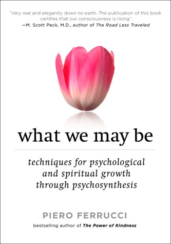 Book cover for What We May be