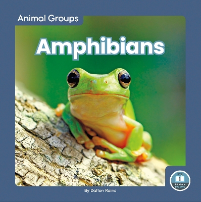 Cover of Amphibians