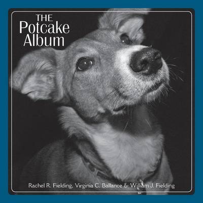 Book cover for The Potcake Album