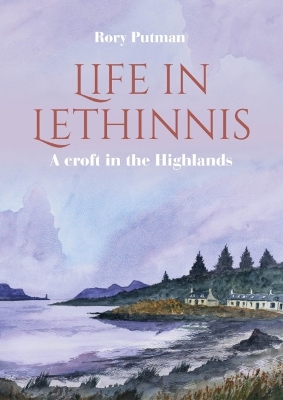 Book cover for Life in Lethinnis