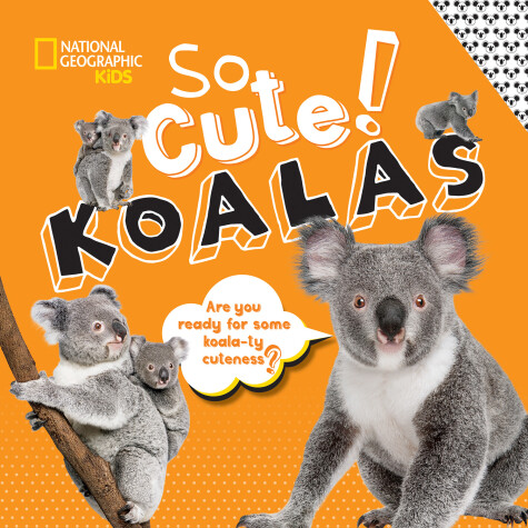 Cover of So Cute! Koalas