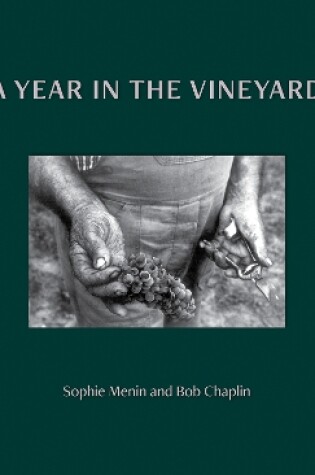 Cover of A Year in the Vineyard