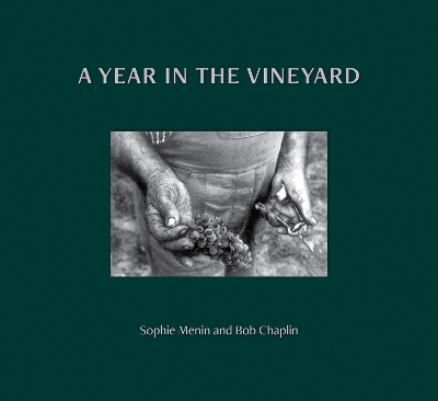 Book cover for A Year in the Vineyard