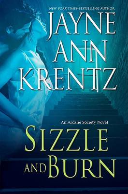 Book cover for Sizzle and Burn