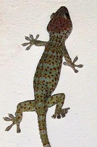 Cover of Tokay Gecko Journal