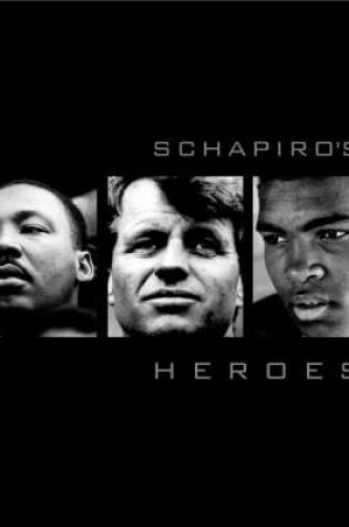 Cover of Schapiro's Heroes