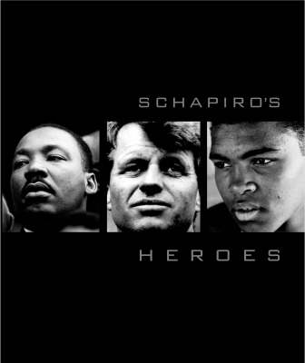 Book cover for Schapiro's Heroes