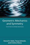 Book cover for Geometric Mechanics and Symmetry