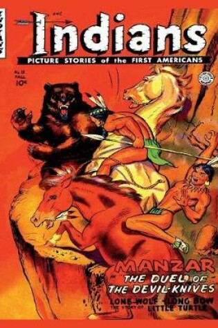 Cover of Indians #15