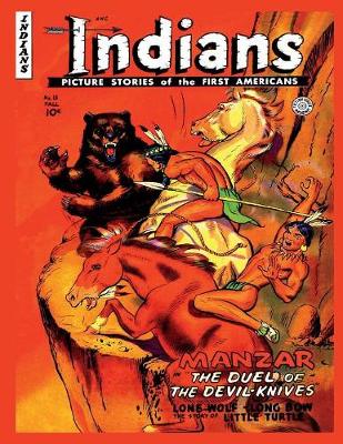 Book cover for Indians #15